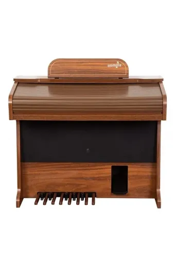 Orgao Eletronico Harmonia Hs95 Imbuia